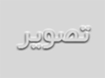 توسعه دانش فنی برای طراحی و پیاده سازی سامانه هوشمند تحلیل و کشف تقلب های مالی